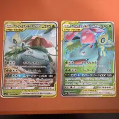 タッグチームセレビィ&フシギバナSR.RR