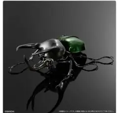 いきもの大図鑑アドバンス　コーカサスオオカブト(スマトラ)オンライン版