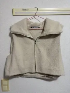 ZARAファーベスト