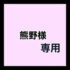 専用ページ
