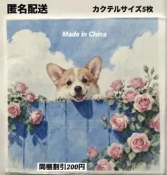 ピヨーン様 リクエスト 2点 まとめ商品