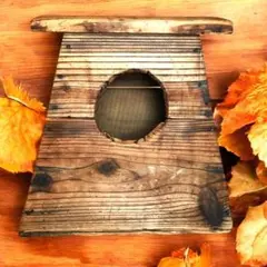 Item thumbnail for item 49bc8dc9-1466-413c-9915-2e45c1f1344a