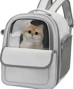 Item thumbnail for item 69840113-d3fa-4ca9-a825-e50b889350fb