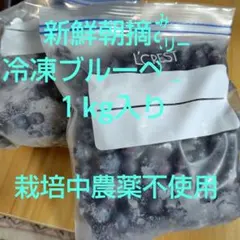 新鮮朝摘み 冷凍ブルーベリー 1kgのサムネイル