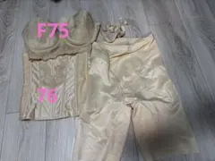 フォーシスアンドカンパニー ブライダルインナー 3点セット