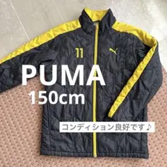 ★良品★PUMA 軽くて暖かい！防寒 中綿 ジャンパー 150cm サッカー