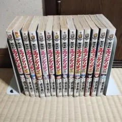 新世紀エヴァンゲリオン 1-14巻　全巻
