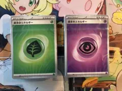 ポケモンカード 基本エネルギー112枚セット②