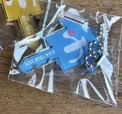 かな様専用　　ゆーりんちキーホルダー