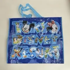 ディズニーリゾート ショッピングバッグ お土産バッグ キャラクターバッグ