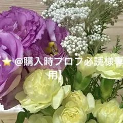 2026年最新】プロフ必読！の人気アイテム - メルカリ