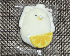 つぶらな瞳のなまがき　ぬいぐるみ