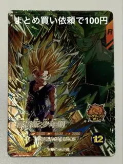 ドラ様 リクエスト 4点 まとめ商品