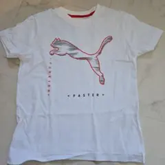 Item thumbnail for item 40caca7f-7aae-4781-a13e-f8fb1b58391e