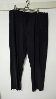 COMOLI 21SS シルクネップ ドローストリングパンツ size2のサムネイル