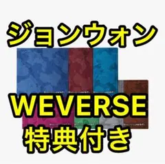 THE SIN: VANISH FUGITIVES Ver. ジョンウォン