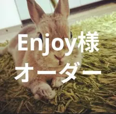 Enjoy様 (2月末にお届け予定)4点オーダー専用ページ