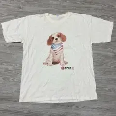 Item thumbnail for item c6f0534c-a097-4c9b-bd72-3890f9624df9