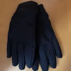 Item thumbnail for item 156527ff-077d-4b68-b478-9cc400de2489