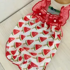 ハンドメイド♡犬服 メッシュ生地のバルーンキャミワンピース