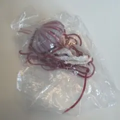 NTCネイチャーテクニカラー 赤クラゲキーホルダー