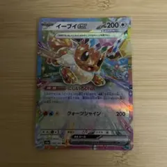イーブイex &テラスタル