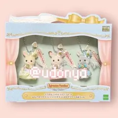 【新品未開封】シルバニアファミリー展 40th エクセレントドレスアップセット