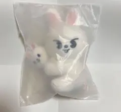 StrayKids スキズ マグネットプラッシュ セット リービット リノ