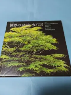 Item thumbnail for item 8ab9b50a-fc66-4b17-9ddf-4e893a74a856