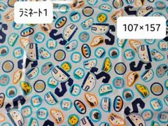 Item thumbnail for item b7273d22-63a6-42f6-b428-c83c323daa42