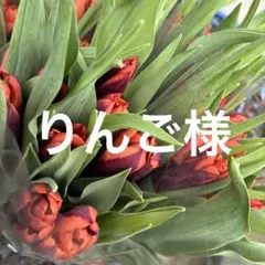 りんご様　チューリップ　スワラ　ネコポス　生花