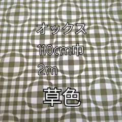 （草色）球体なみなみチェック オックス生地 2m