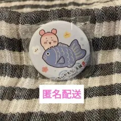 ちいかわもぐもぐ本舗川越店　鯛だらけなマット缶バッジ　古本屋　カニちゃん