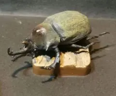 レア エンファスゾウカブト フィギュア