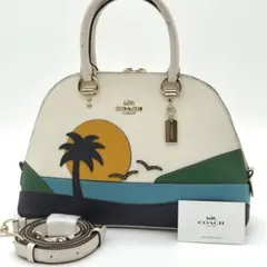 【良品】COACH Katy サンセット ドーム型 ハンドバッグ 2way