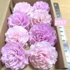솔라 플라워 2757