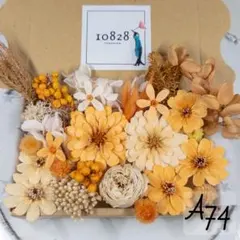 A74/499 薄花 ジニアのプリザーブドフラワー 花材セット 詰め合わせ