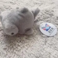 海洋館 マスコット ぬいぐるみ グレー ハンマーヘッドシャーク サメ