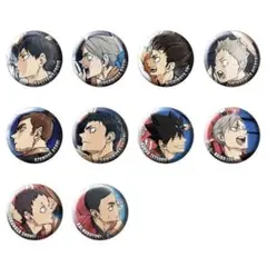 劇場版 ハイキュー!! ゴミ捨て場の決戦 缶バッジB 未開封 16点