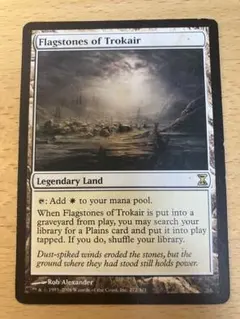 2026年最新】トロウケアの敷石 foilの人気アイテム - メルカリ