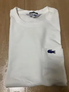 ラコステ ピケ Ｔシャツ 白　SHIPS別注青ワニ
