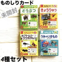 【新品 未開封】ものしりカード セット 知育 ダイソー 幼児教育 動物 恐竜 虫のサムネイル