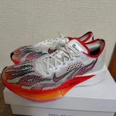 NIKE 25FA ペガサス プラス FQ7262-406 27センチ - メルカリ