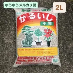 1816 軽石 小粒 2リットル ⑱のサムネイル