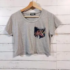 アナップ　レディース　Tシャツ　クロップド丈　グレー　フリーサイズ　重ね着　ラフ