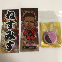 EXILE NESMITH 千社札 缶バッジ