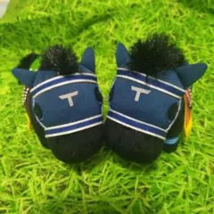 【兄妹】マイネルファンロン・ユーバーレーベン　サラブレッドコレクション