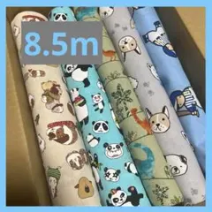 動物プリント綿生地5本セット／8.5m
