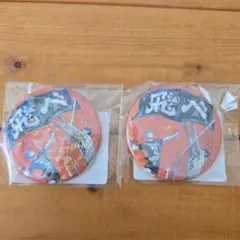 ハイキュー!!オールスター缶バッジ 日向翔陽・影山飛雄