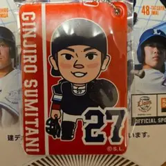 【新品未開封・値下不可】炭谷銀仁朗 球場限定パスケース 埼玉西武ライオンズ